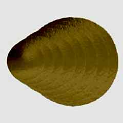 Pasta Altı Gold Mukavva Karton Çap 24 Cm 100 Adetli