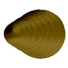 Pasta Altı Gold Mukavva Karton Çap 22 Cm 100 Adetli