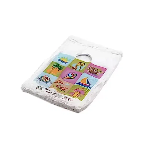 Hışır Blok Poşet Resimli 20x30 cm No: 0 100 Adetli Paket